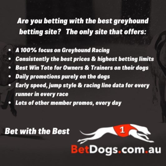 BetDogs BetDogs