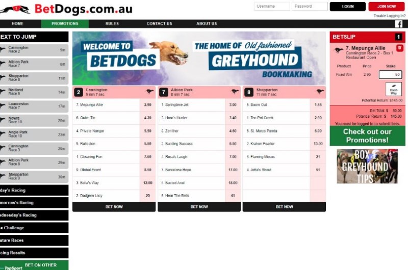 Betdogs betting Betdogs betting
