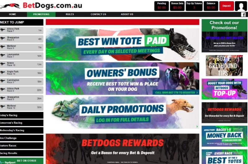 Betdogs bonus Betdogs bonus