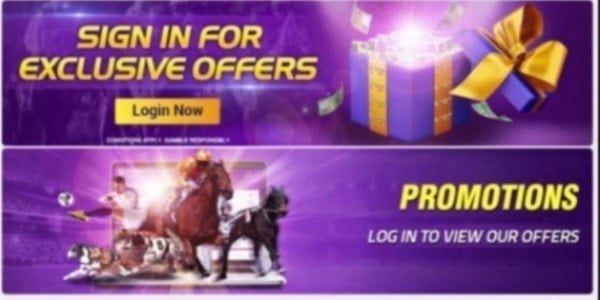 WinnersBet