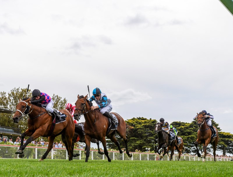Winterbottom Stakes Tips & Preview