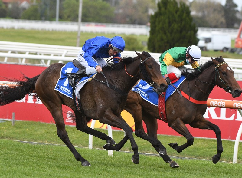 Damien Oliver Jockey Market