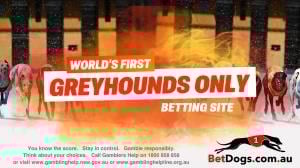 Betdogs greyhound only