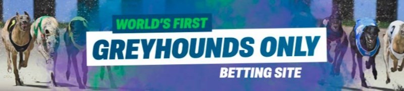 Betdogs promotions Betdogs promotions