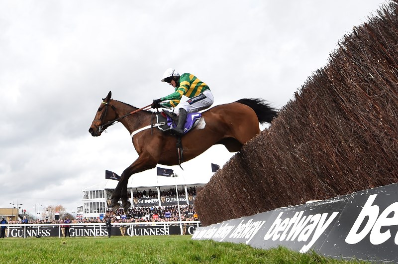 champ cheltenham RSA chase
