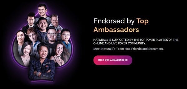 Natural8 Ambassadors Natural8 Ambassadors