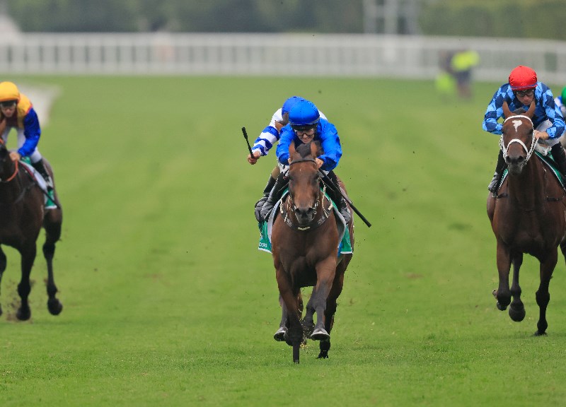 chipping norton stakes betting tips