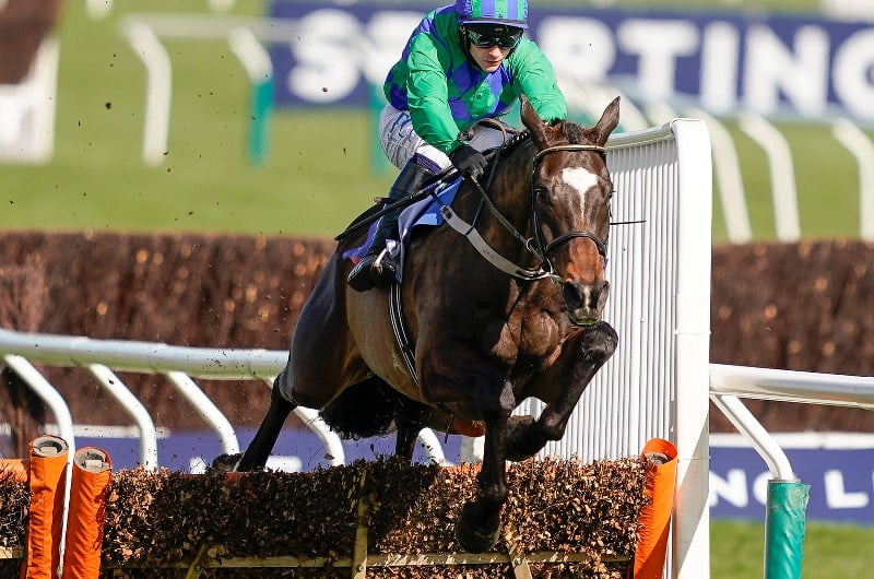 appreciate it cheltenham