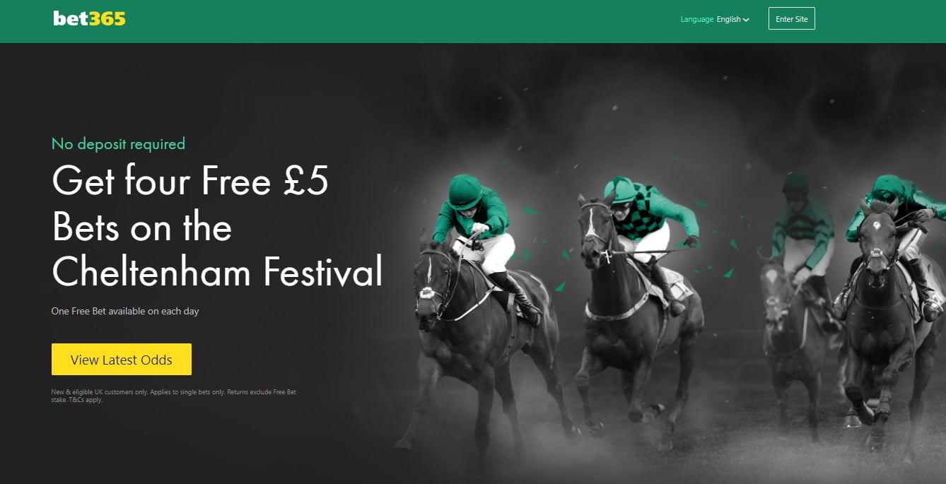 bet365 Cheltenham No Deposit