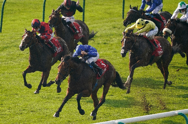 Irish 2000 guineas betting 2022 ford best accumulator betting app for iphone