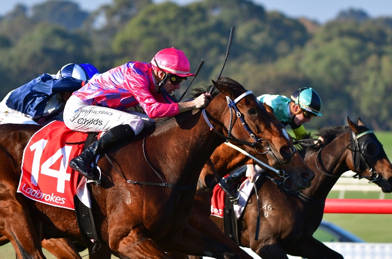 Horse betting tips wolverhampton wanderers eur/usd technical analysis forexyard promotion