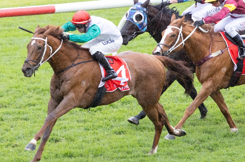 Get 6 for Military Mission & Wicklow to both Win at Rosehill