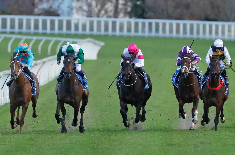 Blackbookers - June 25