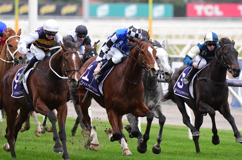 Blackbookers - July 16