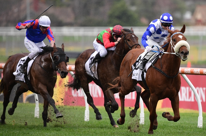 Blackbookers - July 23