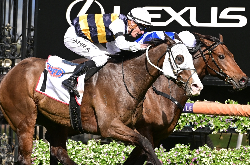 Danehill stakes bettingadvice make the world a better place to live lyrics i can feel it