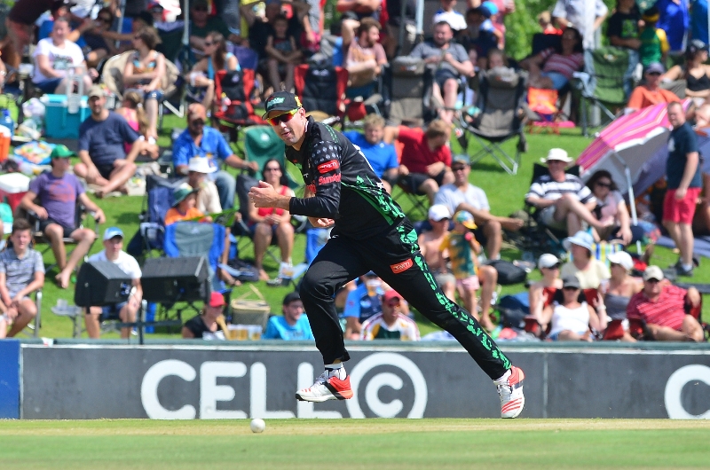 Cape Cobras cricket