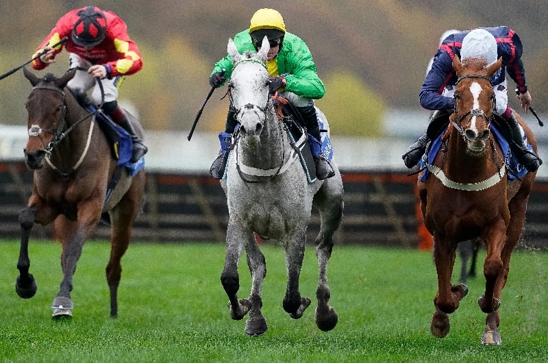 2023 Cheltenham Festival Tips NonRunner No Bet picks with bet365