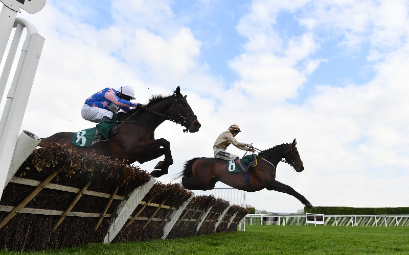 Racing Nap of the Day Horse Racing Tips and Best Bets