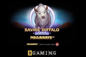 Linebet Casino New Game Savage Buffalo Spirit