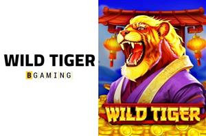 Linebet Casino New Slot Wild Tiger by BGaming