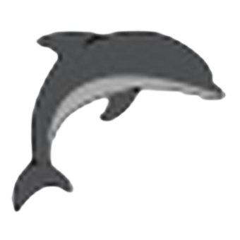 https://www.imageservera.com/uploadedimages/202508/Aug13/1l4rjnhkw7wm7vx.png