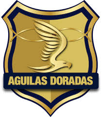 https://www.imageservera.com/uploadedimages/202508/Aug13/pxwrxlhjw7lryk0.png